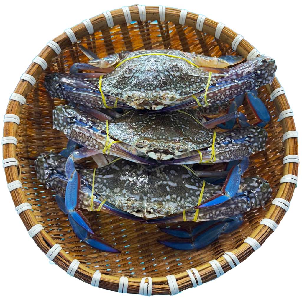 Ghẹ Xanh Sống 5-7 Con/kg