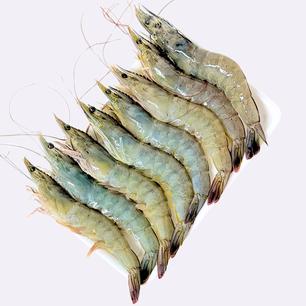 Tôm Thẻ Tươi Khay 250g